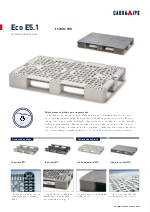 Palet europeo Eco E5.1