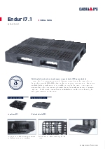 Palet de plstico Endur i7.1