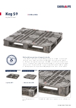 Palet para barriles Keg S9