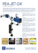 Impresora industrial Rea-Jet GK