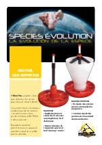 Informacin de Maxiplato