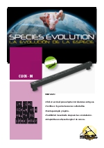 Informacin de chick-in