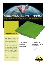 Informacin de Slat ciego 600 x 600