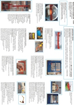 Laboratorio propio para ensayar pates segn norma EN-13101 europea