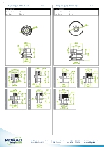 Ventosas Morali Vactec Systems_Parte 3