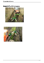 Cepillo alineador de rama