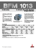 Motores para maquinaria, modelo: BFM 1013