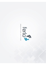 Ferlo Innovation Attitude
