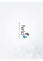 Ferlo Innovation Attitude (EN)