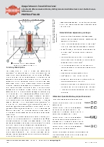 Apagallamas en lnea bidireccional Protego DA-SB