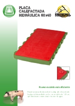 Placa Hidrulica 60x40