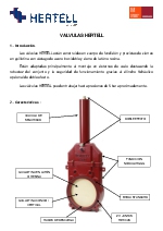 Vlvulas HERTELL espaol