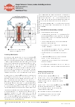 Apagallamas en lnea a prueba de deflagraciones FA-I