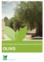 Recomendaciones nutricionales para el cultivo del olivo