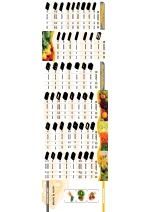 Envases termoconformados por alto vaco para productos alimentarios