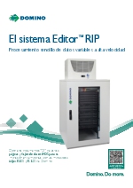 Sistema editor RIP de Domino