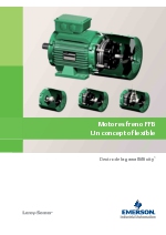 Motores de freno FFB