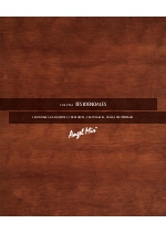 Angel Mir Puertas Residenciales