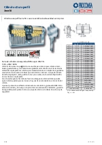 Cilindro Europerfil serie 50