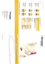 Growket-Sistema de alimentacin para el engorde de pavos