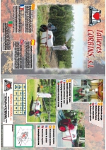 Carretillas para pulverizar Green 50 L 2 ruedas