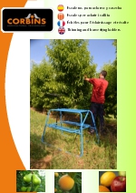 Escaleras de aclareo y cosecha