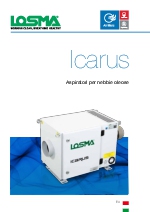 Filtro de aire Icarus Losma