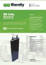 BS Cells (Standard)