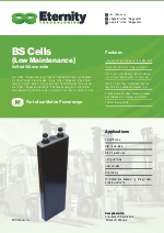 BS Cells (Low Maintenance)