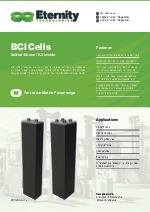BCI Cells (Low Maintenance)
