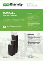 PzV Cells