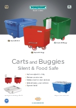 Carros y Buggies Saeplast