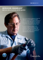 Servicios de Consultora de Mangueras (HAS) de Swagelok