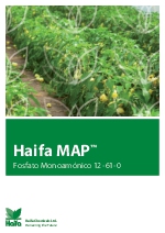 Fosfato monoamnico MAP