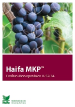 Fosfato monopotsico MKP