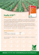 Sulfato potsico soluble: Haifa SOP
