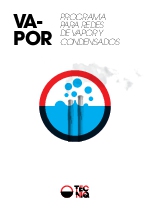 Programa para redes de vapor y condensados