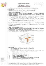 Maderas alternativas Incanto N.C. en fermentacin
