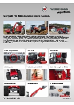 Cargadoras telescpicas sobre ruedas de Weidemann (trptico)