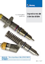 Inyectores de combustible