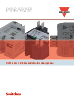 Rels de estado solido de dos polos