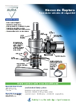 Disco de Ruptura en combinacin con vlvula de seguridad