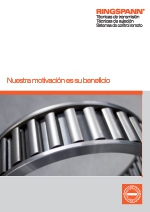 Presentacin RINGSPANN IBRICA
