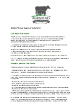 Vital Powder para Porcino