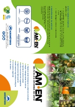 Folleto General AMEN