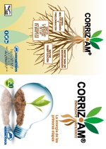 Folleto General CORRIZAM