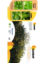 Folleto General QUASSAR