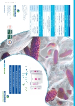 Gama control de biofilms