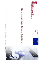 Presentacin RIBINERF en Ingls