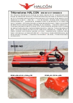 Desbrozadoras de hierba DH220/140 - DH220/50 HALCON